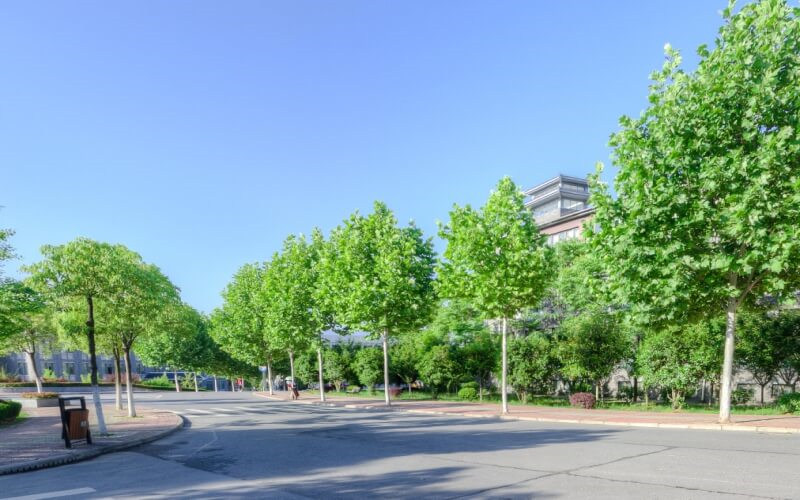 学院风光