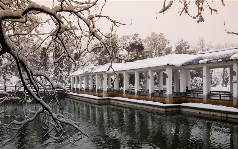 学院冬景