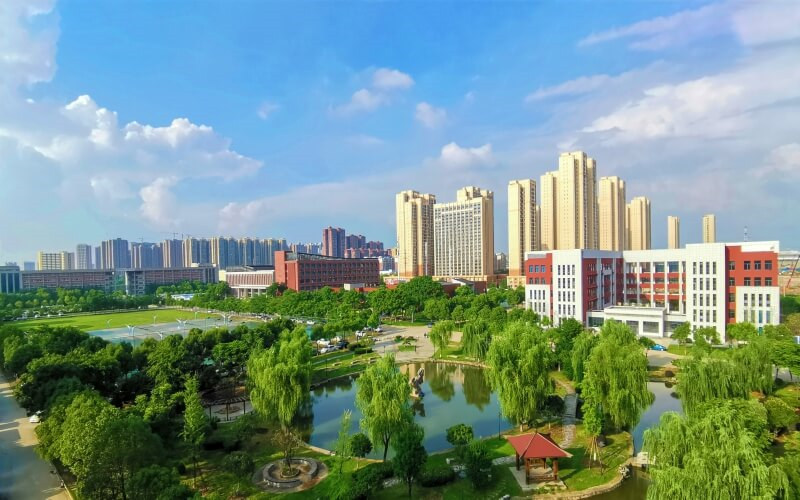 校园景色