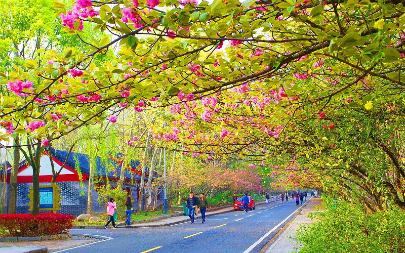 学院风光