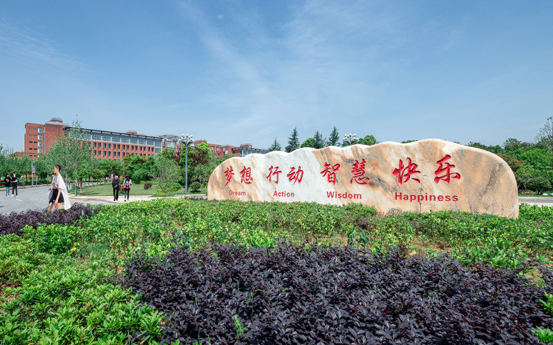 景观石