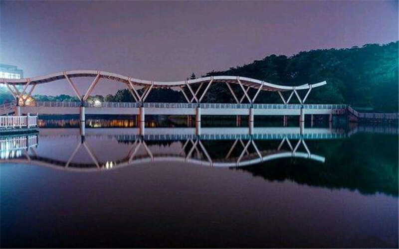 学院夜景