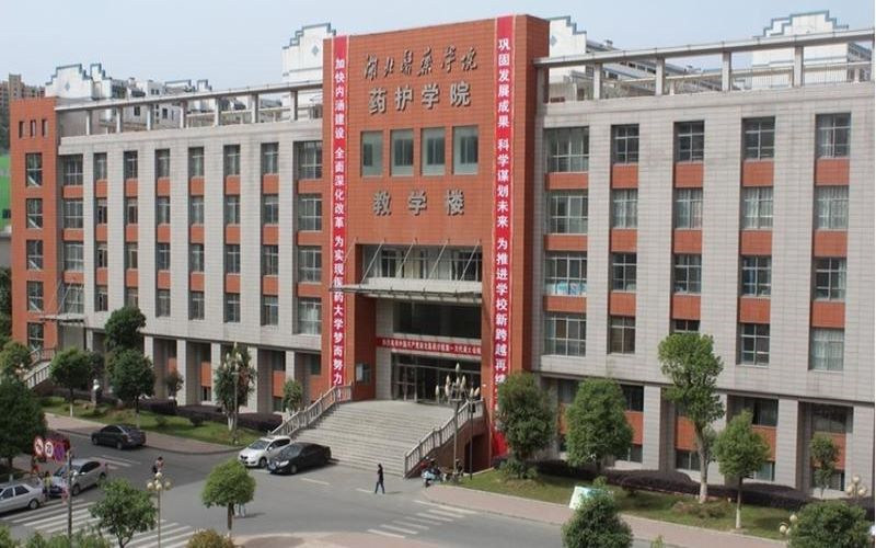 湖北医药学院药护学院首页