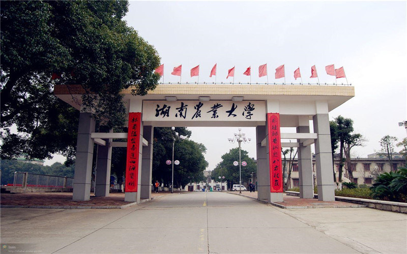 湖南农业大学首页