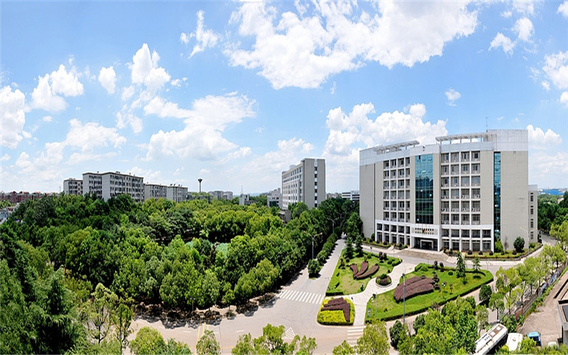 校园全景