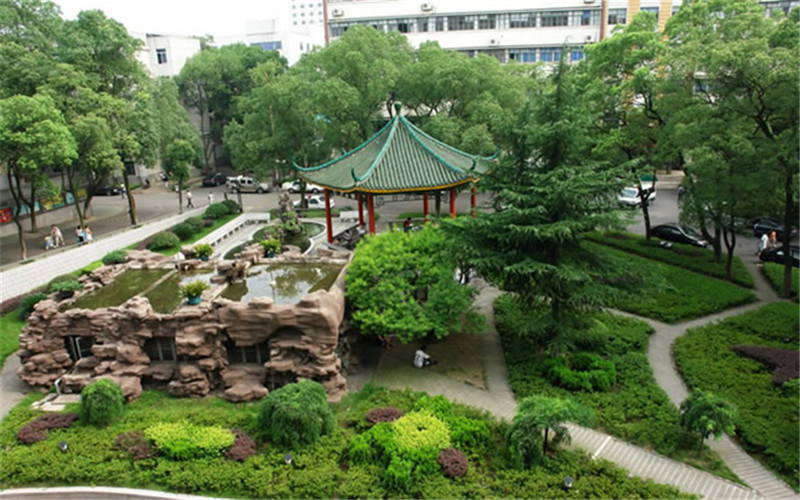校园绿化