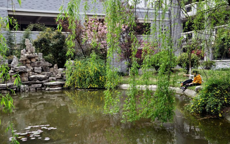 学院风景