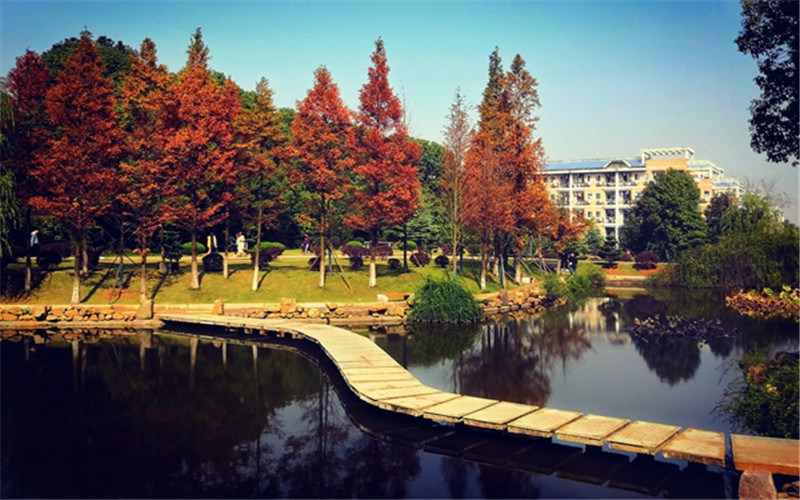 水上小桥