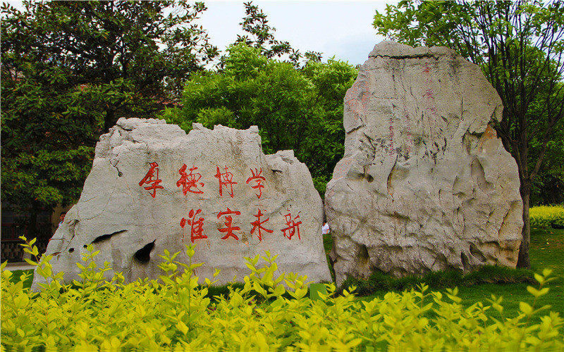 景观石