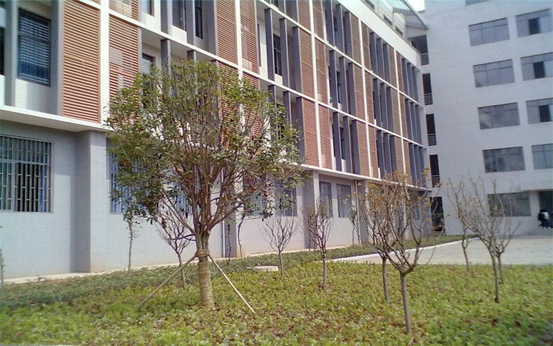 学院风光