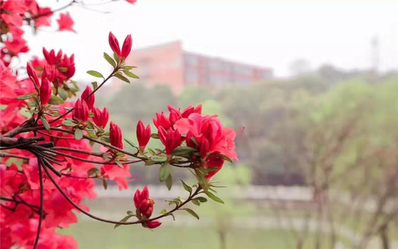 风景图片