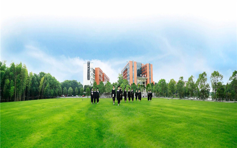 学院草坪