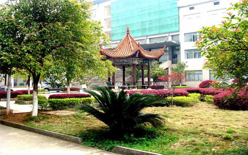 学院绿化