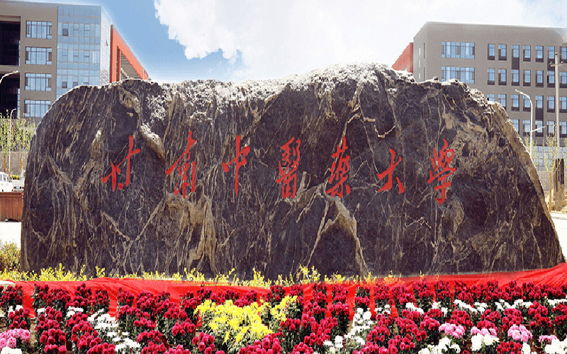 甘肃中医药大学首页