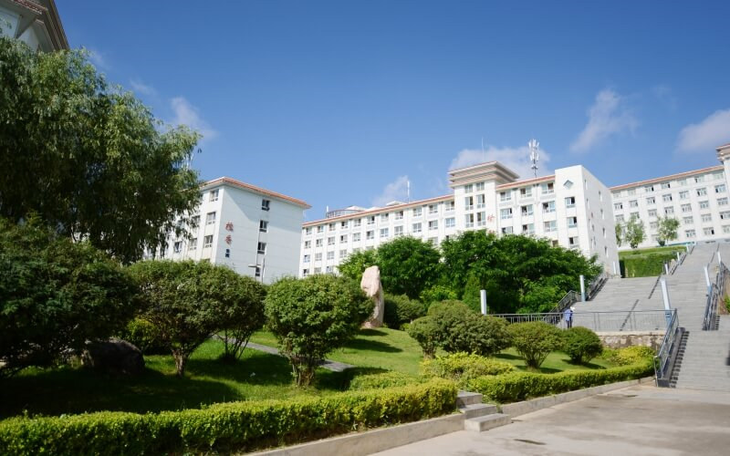 校园风景