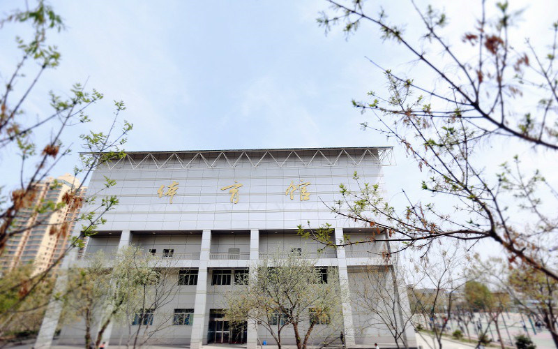 体育馆