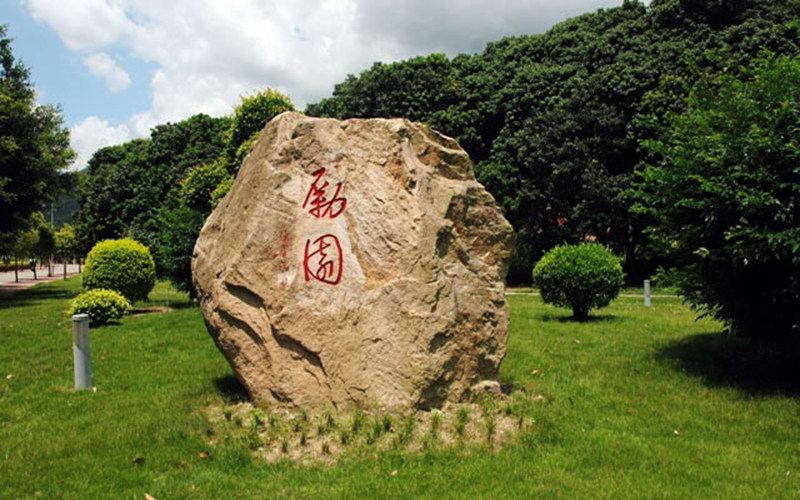 景观石