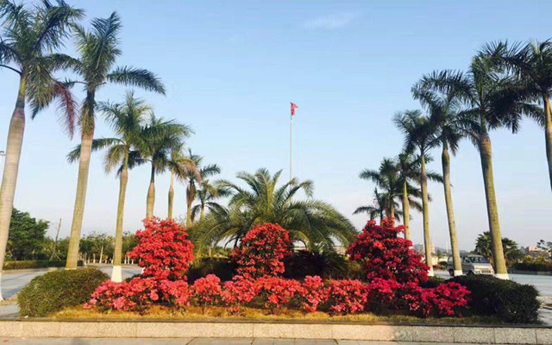 学院景色