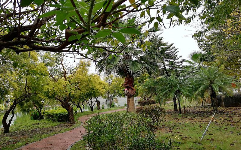 学院风光