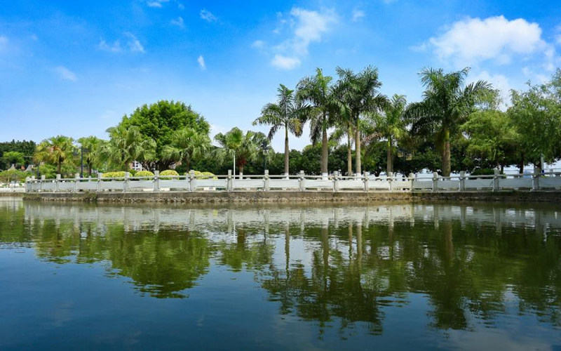 学院景色
