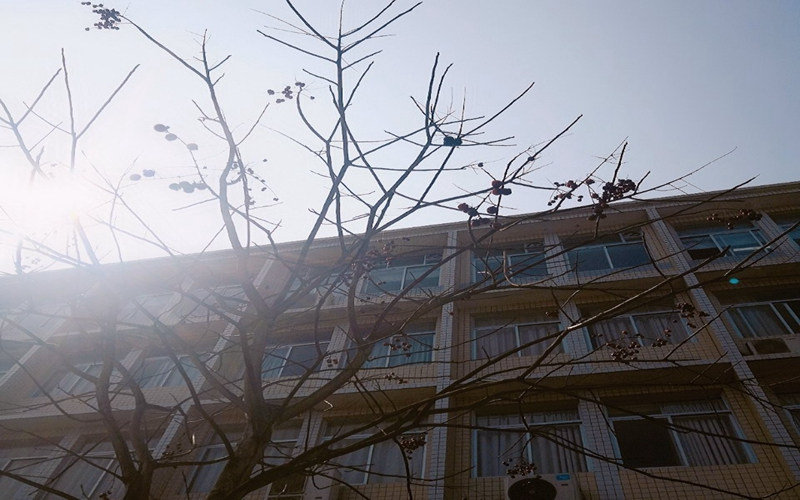 学院风光