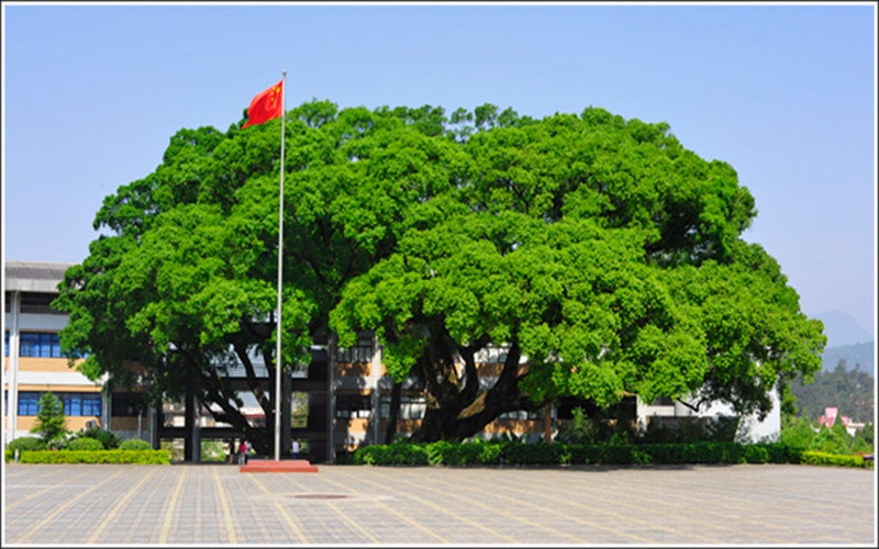 升旗台
