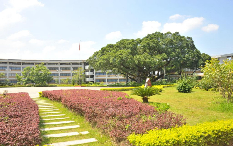 学院风景