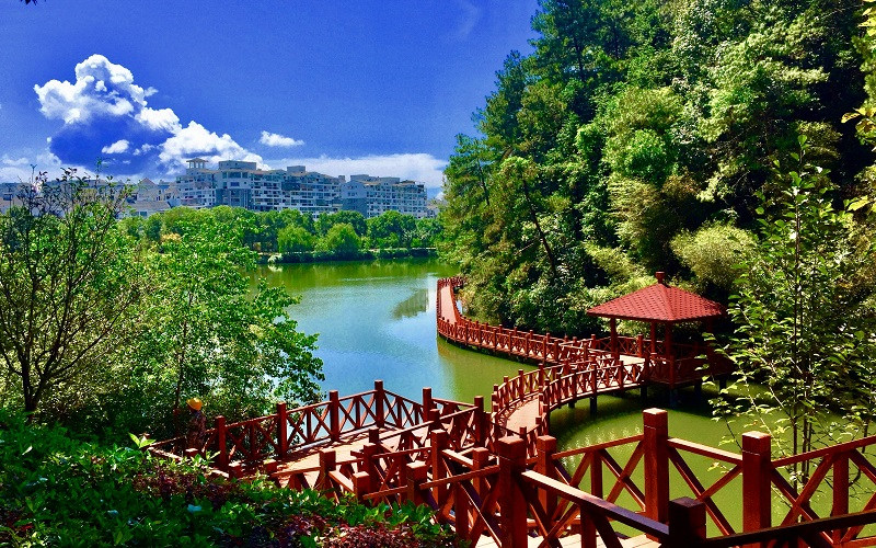 水上学院