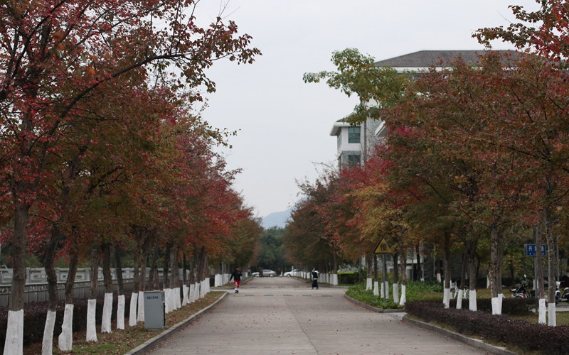 学院景色