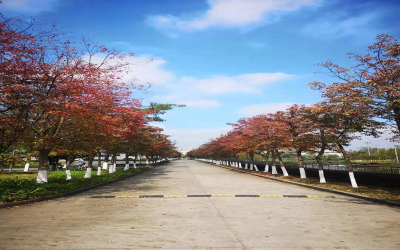 学院风景
