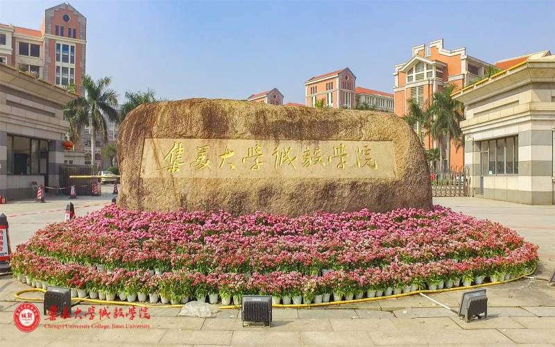 景观石