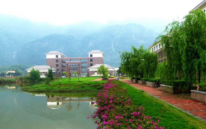 学院绿化