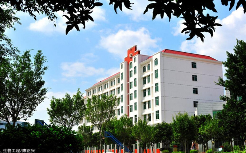 学院景色
