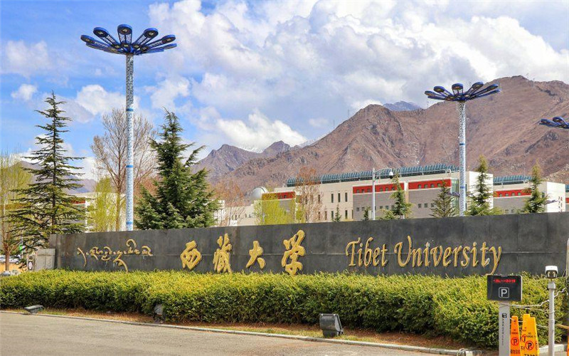 西藏大学首页