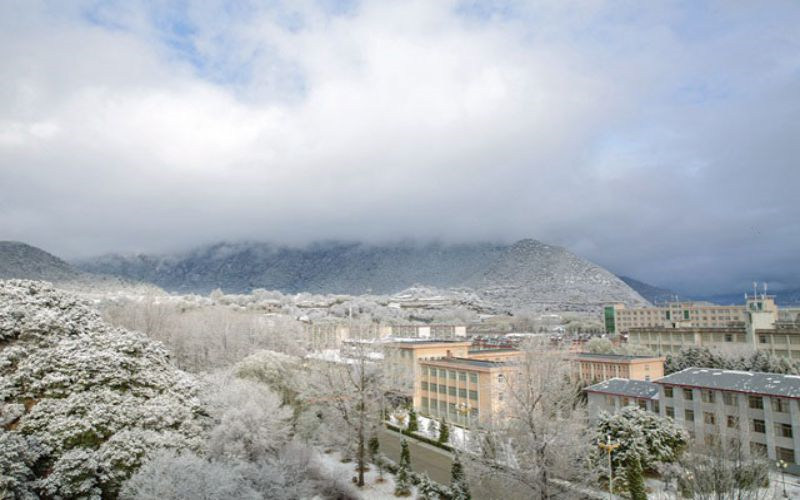 学院冬景