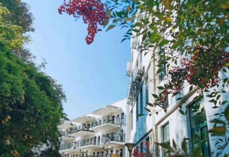 校园景色