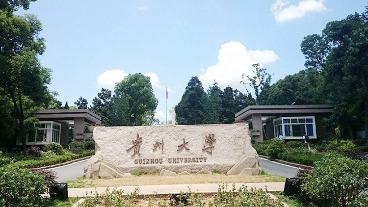 贵州大学首页