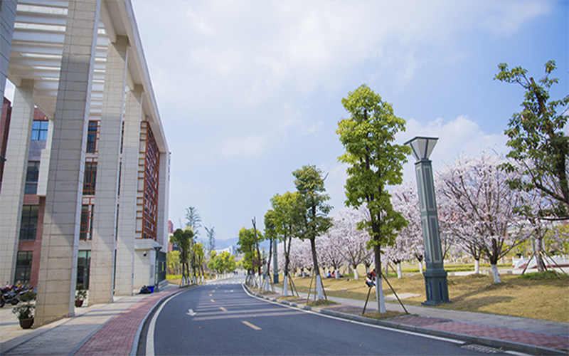 校园景观