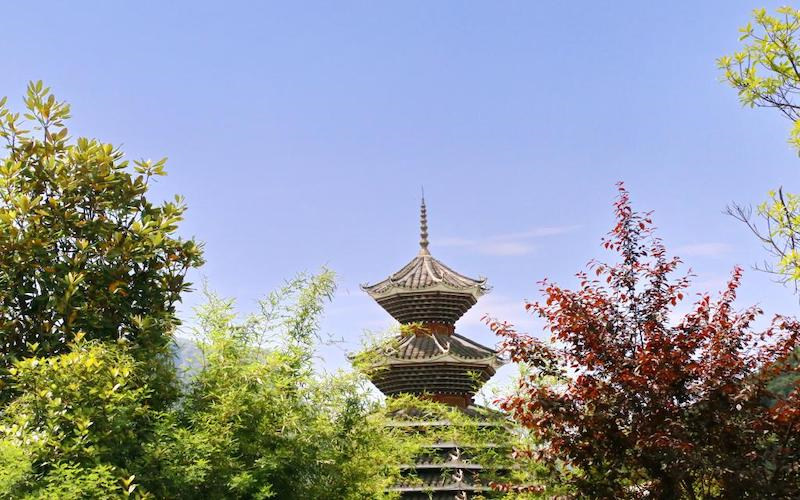 校园景观