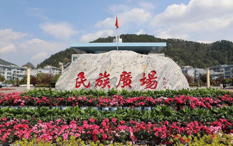 校园绿化