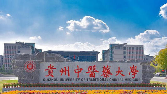 贵州中医药大学首页