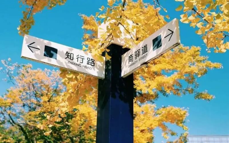 指路牌