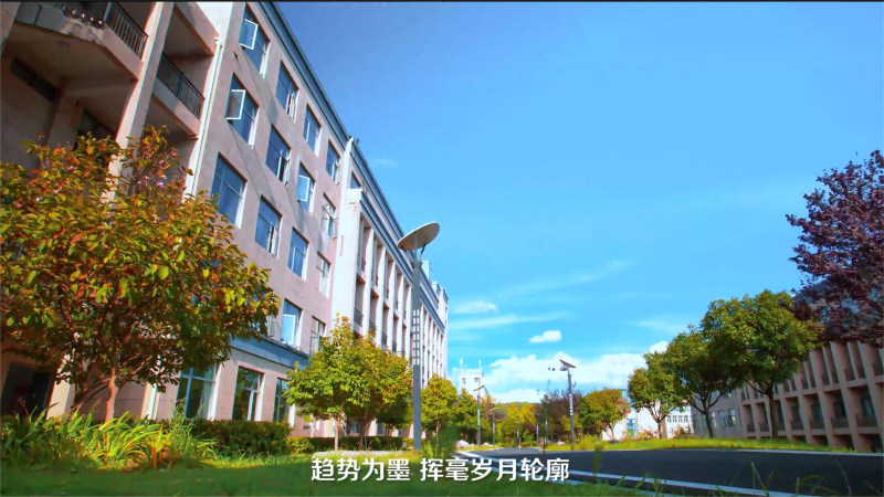校园绿化