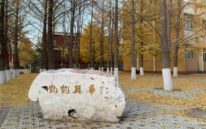 景观石