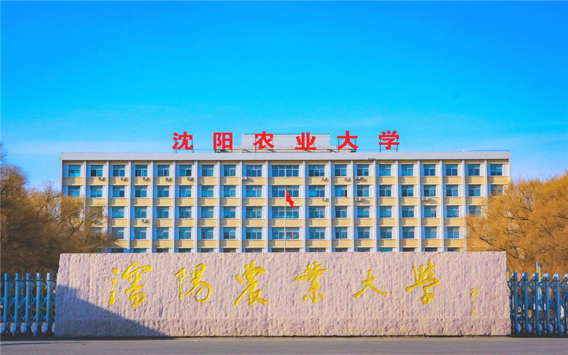 沈阳农业大学首页