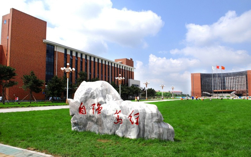 景观石
