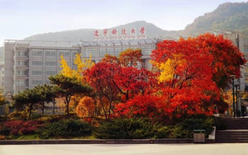 校园秋景