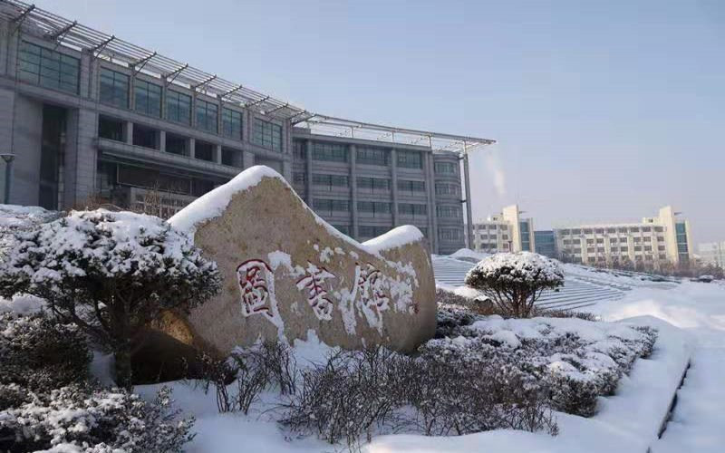 校园冬景