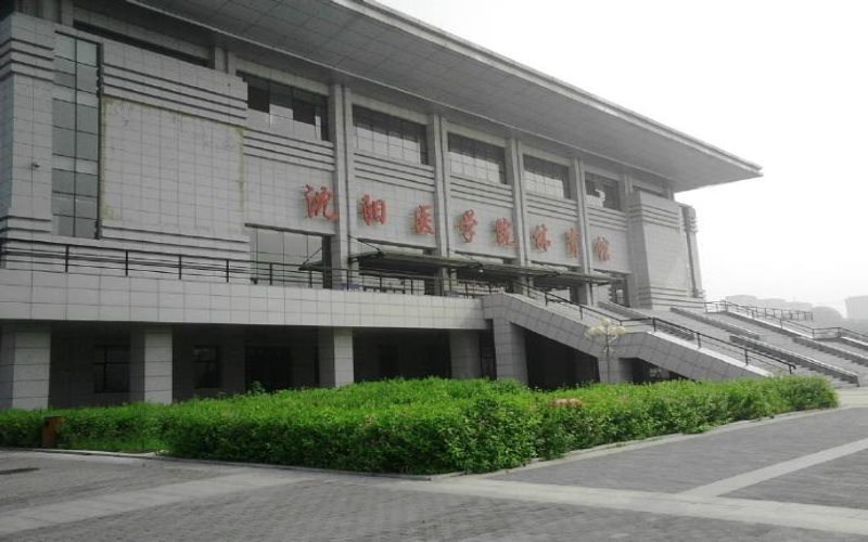 体育馆
