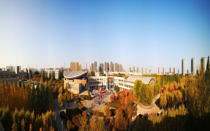 金色学院